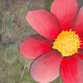 Red Flower Painting by Ken Powers Red Flower Painting by Ken Powers