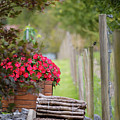 Red flowerd with Fende and wood billet bundle Photograph by Amanda Mohler Red flowerd with Fende and wood billet bundle Photograph by Amanda Mohler