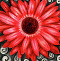 Red Gerbera Daisy Drawing by Kristin Aquariann