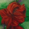 Red Gladiolus Painting by Saundra Johnson Red Gladiolus Painting by Saundra Johnson