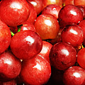 Red Grape Pano Photograph by Andee Design