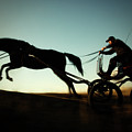 Red Hawk Pony Photograph by Dimitar Hristov Red Hawk Pony Photograph by Dimitar Hristov