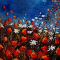 Red Poppies 451108 by Pol Ledent Red Poppies 451108 by Pol Ledent