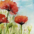 Red Poppies Watercolor Painting by Olga Shvartsur Red Poppies Watercolor Painting by Olga Shvartsur