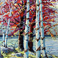 Red Splash by Richard T Pranke Red Splash by Richard T Pranke