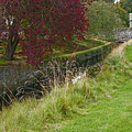 Red Tree at the old water duct Photograph by Elena Perelman Red Tree at the old water duct Photograph by Elena Perelman