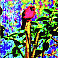 Redbird Dreaming about Why Love is Always Important Digital Art by Aberjhani Redbird Dreaming about Why Love is Always Important Digital Art by Aberjhani
