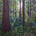 Redwoods Painting by Amelie Simmons Redwoods Painting by Amelie Simmons