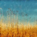 Reeds Lake Landscape Painting Painting by Dimitar Hristov Reeds Lake Landscape Painting Painting by Dimitar Hristov