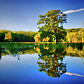 Reflecting Pond by David Henningsen