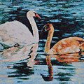 Reflections by Iliyan Bozhanov Reflections by Iliyan Bozhanov