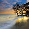 Reflections Of Paradise by Mike Dawson Reflections Of Paradise by Mike Dawson