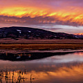 Refuge Reflection Photograph by Chuck Rasco Photography Refuge Reflection Photograph by Chuck Rasco Photography