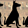 Regal Sit, Ancient Egyptian Background Photograph by Karla Beatty
