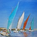 Regate de Chausey by Muriel Dolemieux Regate de Chausey by Muriel Dolemieux
