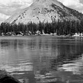 Reids Peak Black and White Photograph by Brett Pelletier Reids Peak Black and White Photograph by Brett Pelletier