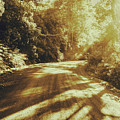 Retro Rainforest Road by Jorgo Photography - Wall Art Gallery Retro Rainforest Road by Jorgo Photography - Wall Art Gallery