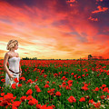Rhapsody In Red by Evelina Kremsdorf Rhapsody In Red by Evelina Kremsdorf
