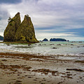 Rialto Beach Photograph by Roslyn Wilkins Rialto Beach Photograph by Roslyn Wilkins