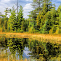 Ridges Sanctuary Reflections Painting by Christopher Arndt Ridges Sanctuary Reflections Painting by Christopher Arndt