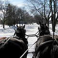 Riding into Town Photograph by Keith Stokes Riding into Town Photograph by Keith Stokes