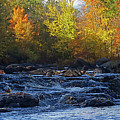 River Photograph by Jerry LoFaro