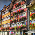 Row of Swiss Houses by Hanny Heim