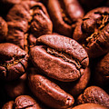 Roasted coffee bean macro Photograph by Jorgo Photography Roasted coffee bean macro Photograph by Jorgo Photography
