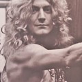 Robert Plant by Donna Wilson Robert Plant by Donna Wilson