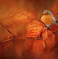 Robin Red Breast In Autumn Photograph by Theresa Tahara Robin Red Breast In Autumn Photograph by Theresa Tahara