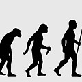 Rock Evolution by Filip Schpindel Rock Evolution by Filip Schpindel