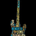Rock Guitar Legends by Bill Cannon Rock Guitar Legends by Bill Cannon