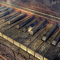 Rock Piano Fantasy by Mal Bray Rock Piano Fantasy by Mal Bray