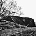 Rock Wave by Steve Karol Rock Wave by Steve Karol