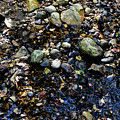 Rocky Collage by Ryan A Lubit