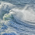 Rollin in Photograph by Bill Posner