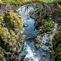 Roman Bridge by Adrian Evans Roman Bridge by Adrian Evans