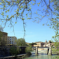 Rome's River by Munir Alawi Rome's River by Munir Alawi