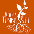 Roots In Tennessee Seedlin by Heather Applegate Roots In Tennessee Seedlin by Heather Applegate