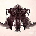 Rorschach Test Card No. 4 Photograph by Science Source Rorschach Test Card No. 4 Photograph by Science Source