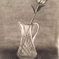 Rose #1 by Sheila Mashaw Rose #1 by Sheila Mashaw