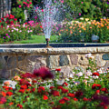 Rose Fountain Photograph by Mark Mille Rose Fountain Photograph by Mark Mille