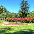 Rose Garden Benches Impressionist Digital Painting by Randy Herring Rose Garden Benches Impressionist Digital Painting by Randy Herring