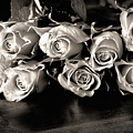 Roses on a table in black and white Photograph by Simon Bratt Roses on a table in black and white Photograph by Simon Bratt