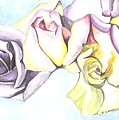 Roses study Painting by Darren Cannell Roses study Painting by Darren Cannell
