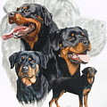 Rottweiler Medley by Barbara Keith Rottweiler Medley by Barbara Keith