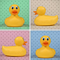 Rubber Ducky Photograph by Scott Norris Rubber Ducky Photograph by Scott Norris