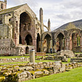 Ruins. Melrose Abbey. Photograph by Elena Perelman Ruins. Melrose Abbey. Photograph by Elena Perelman