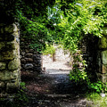 Ruins of Bancroft Castle 2 Photograph by Lilia D Ruins of Bancroft Castle 2 Photograph by Lilia D