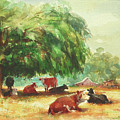 Rumination by Steve Henderson Rumination by Steve Henderson